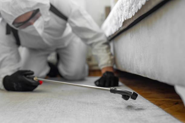 Professional Bed Bug Control technician working in Lake City, MN